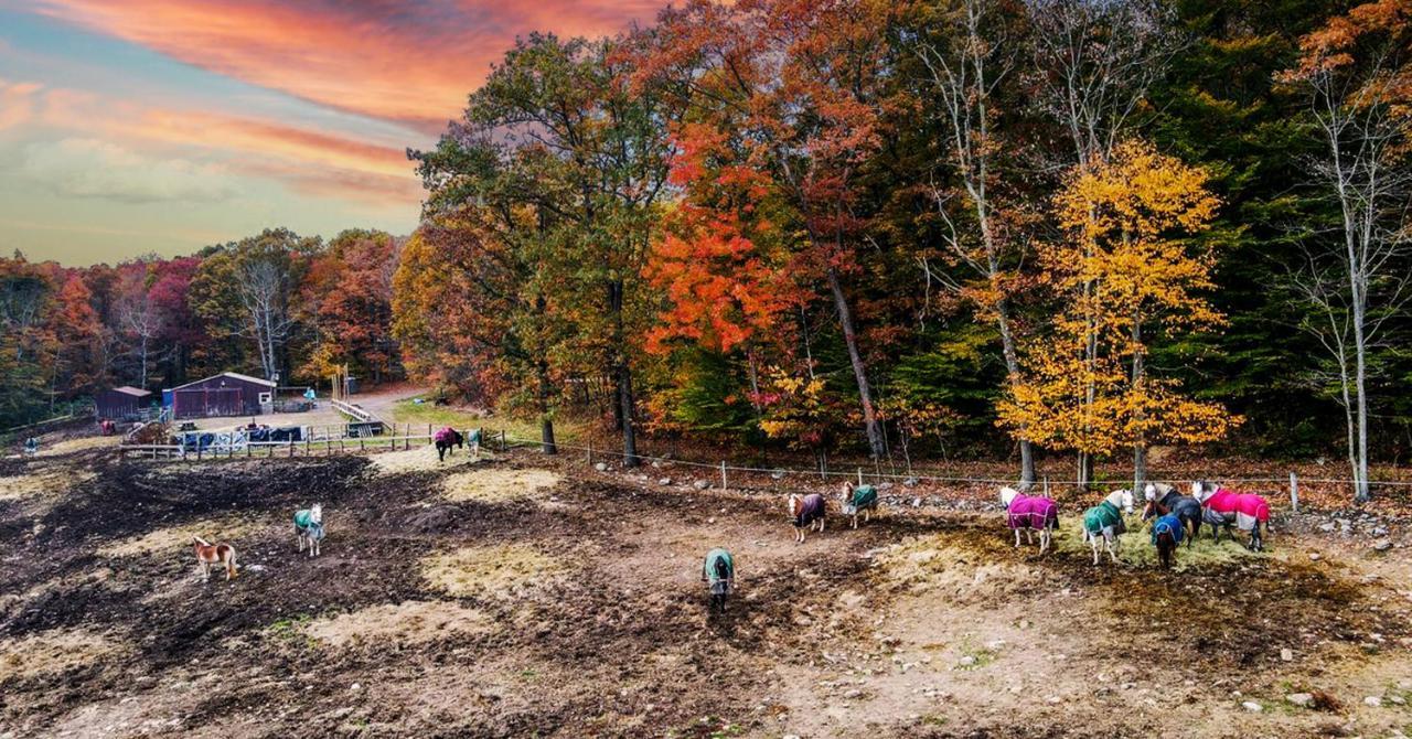 Mountain Laurel Resort White Haven Buitenkant foto
